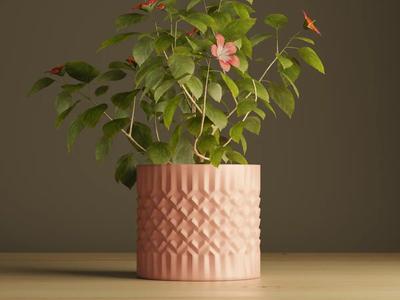 Plant Pot #2 Valentine   