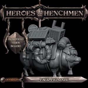 Pack Pig Male