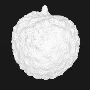 Lychee (generated by Revopoint POP)