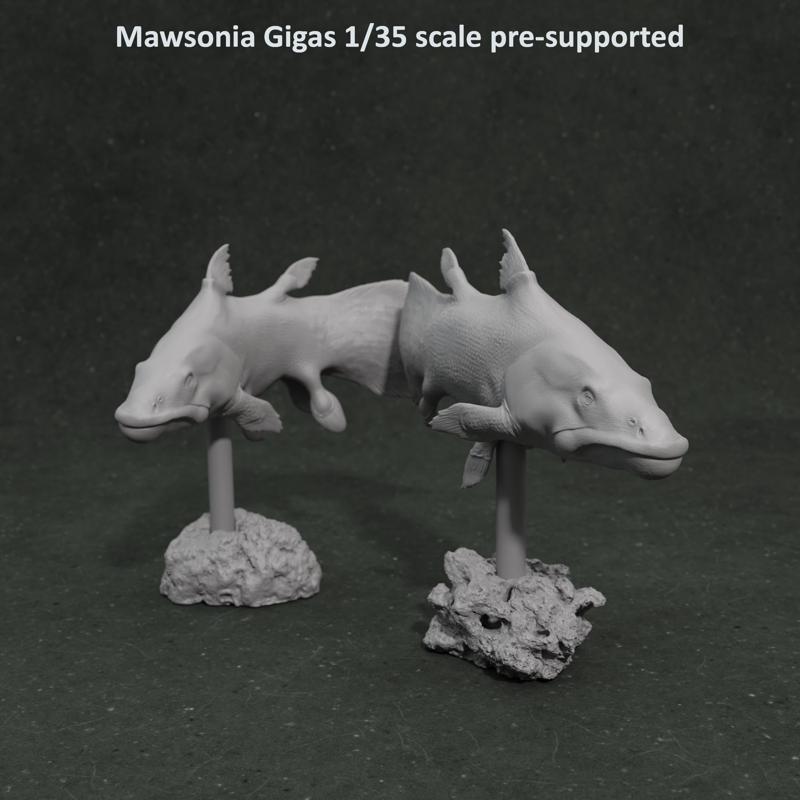 Mawsonia gigas set 1-35 scale pre-supported prehistoric fish