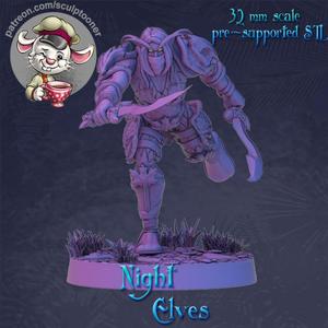 Night elf rogue attack armored male