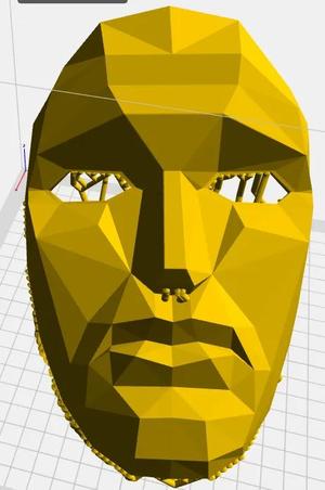 Frontman mask   