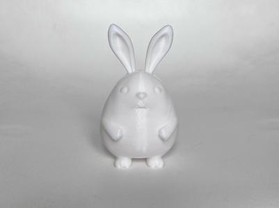 Funny Bunny