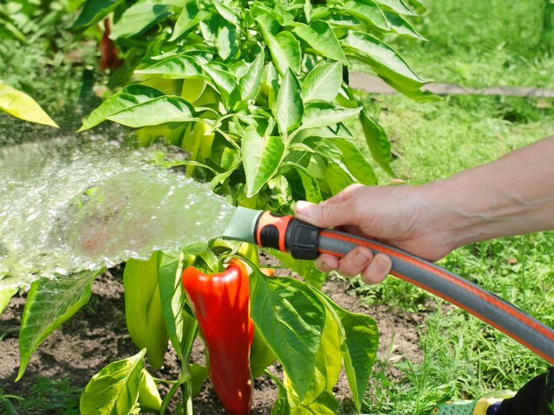 Garden Wide-Spray Nozzle