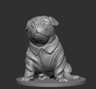 Pug Dog