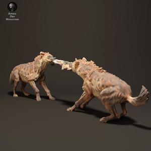 Spotted Hyenas Fighting Over Food