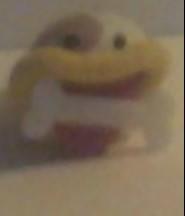 amiibo poochy bone
