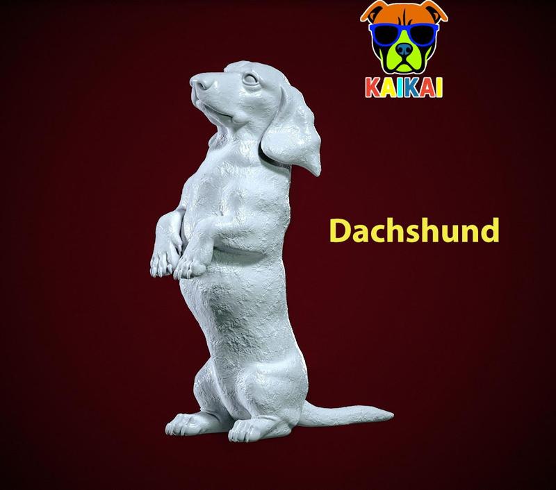 Dachshund Dog standing statue - Dachshund model - 3D print