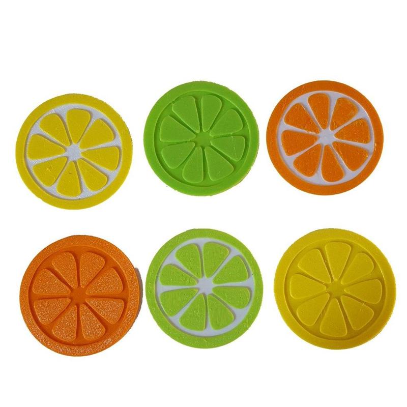 Citrus Fruit Slice Coaster