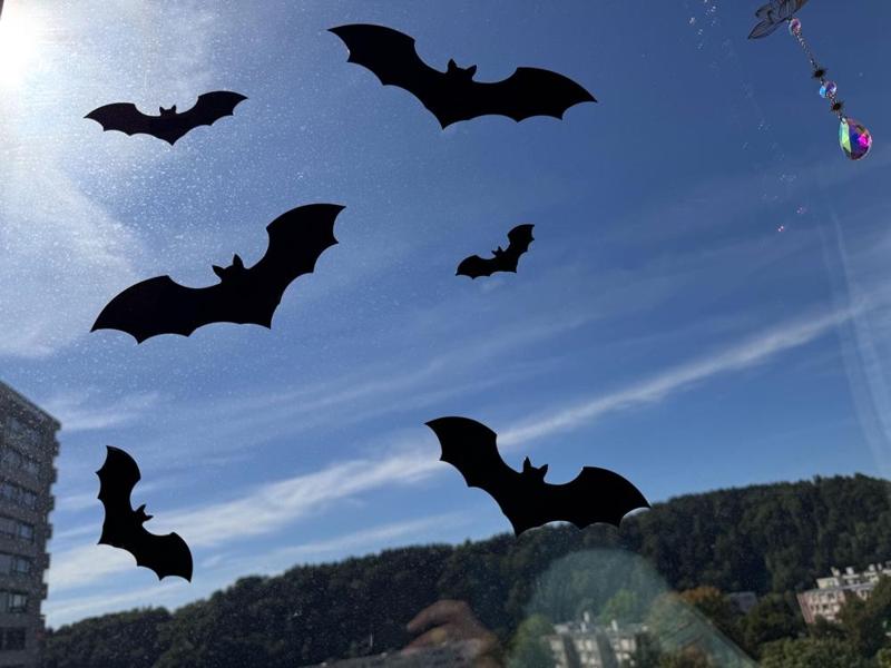 Halloween Bat Window Decor 3D Print
