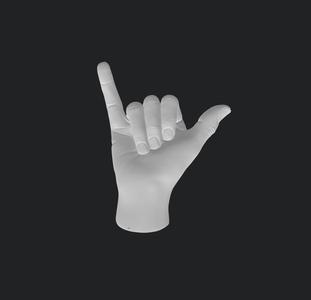 SHAKA HAND