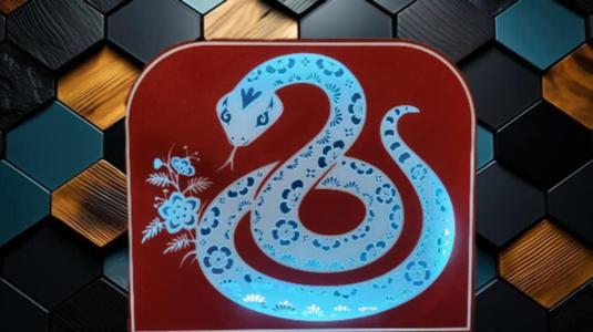 Year of the snake light box 