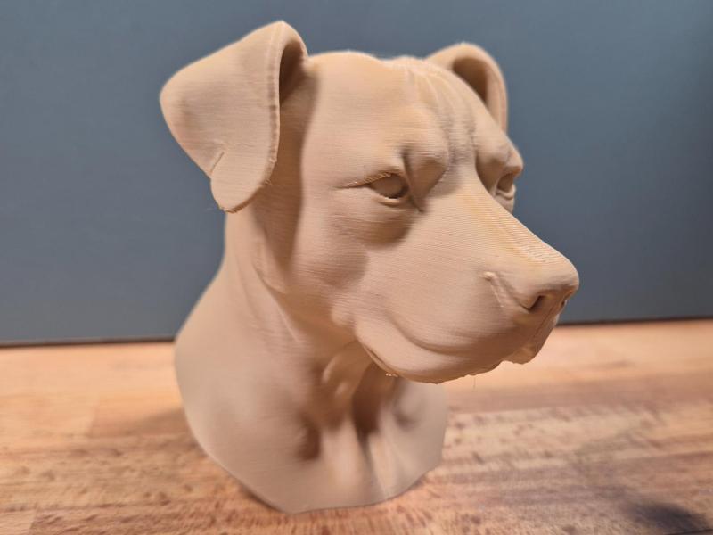 Pitbull with floppy ears Bust