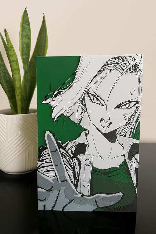 FRAME Dragon Ball, T18