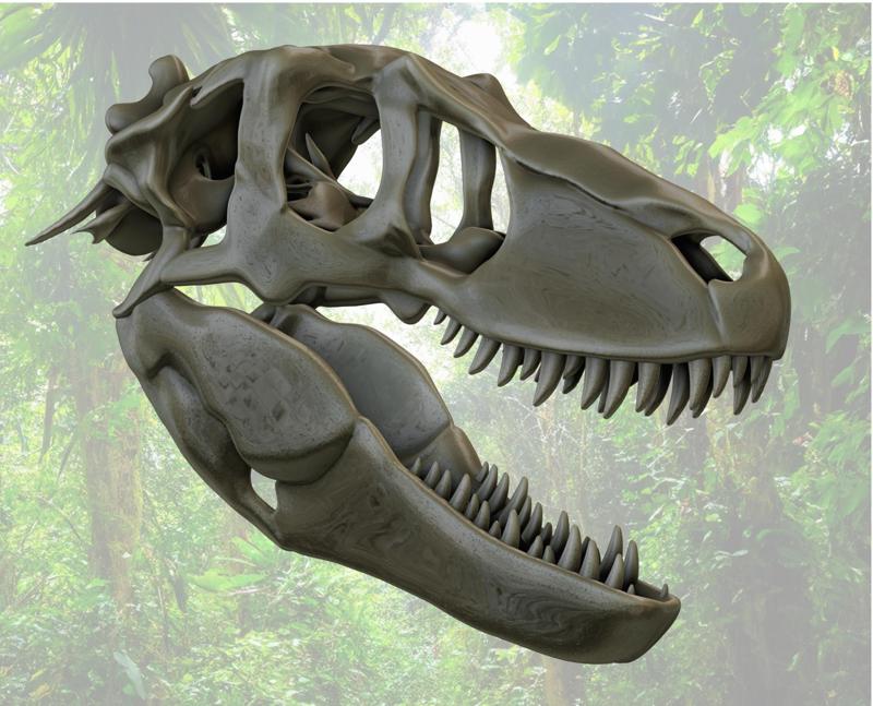 Daspletosaurus skull