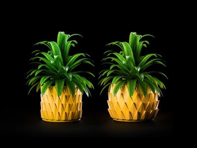 Pina Planter Collection | Modern Planter