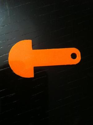 Einkaufstrolley MÃ¼nze, shopping trolley coin Switzerland