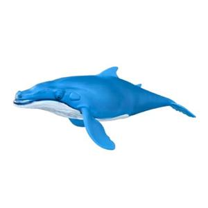 Playful Blue Whale
