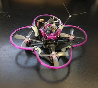 Micro Raptor CF Guard Bumper