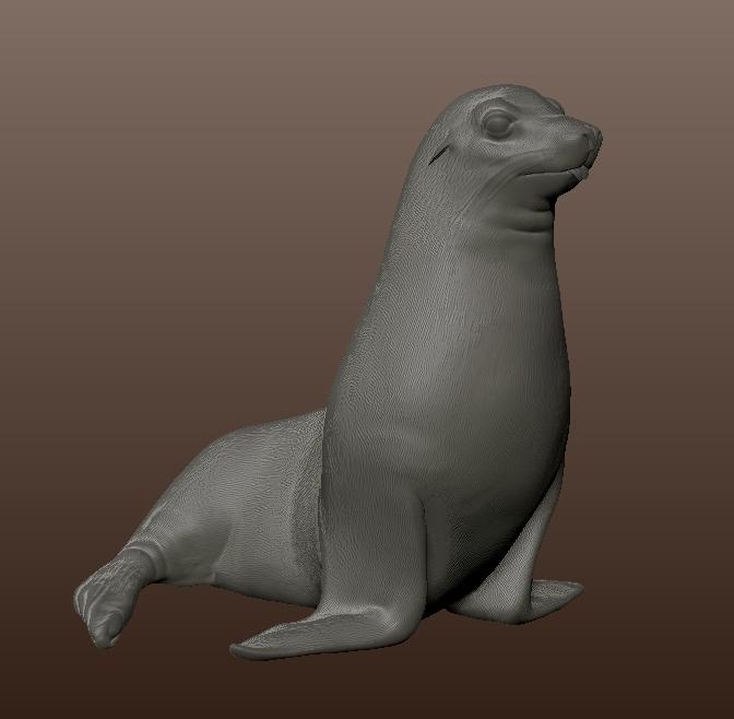 sea lion, sea lion