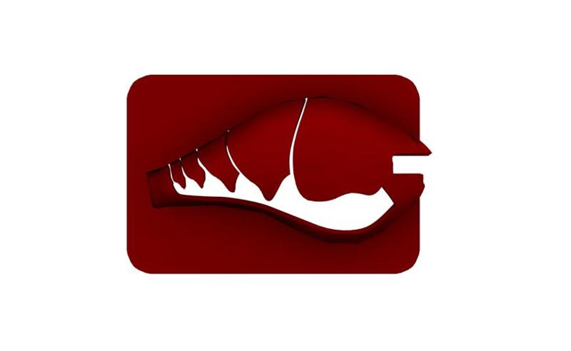 Lure Stencil - Rapala DT6 Orig (craw29)