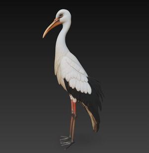 Stork