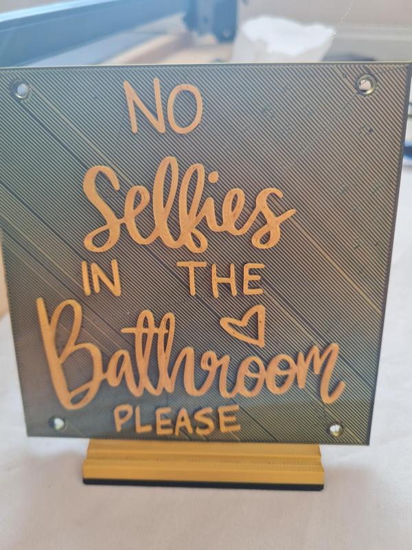 "Humorous Bathroom Selfie Reminder Plaque "