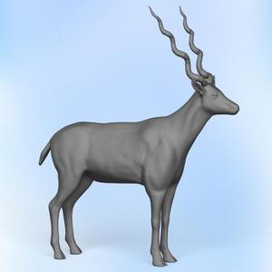 Wild Antelope Deer