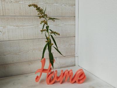 Home Vase with Test Tube