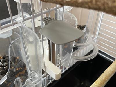 Bird cage water shield