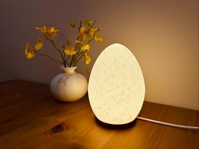 Cracklight Egg  (LED Lamp Kit-MH001)