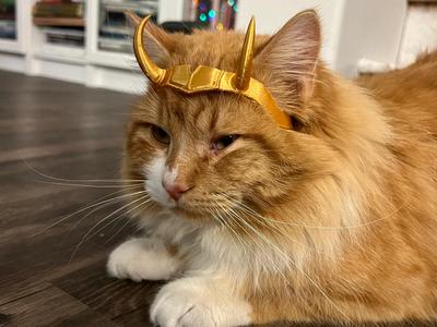Loki Crown (for Cat)