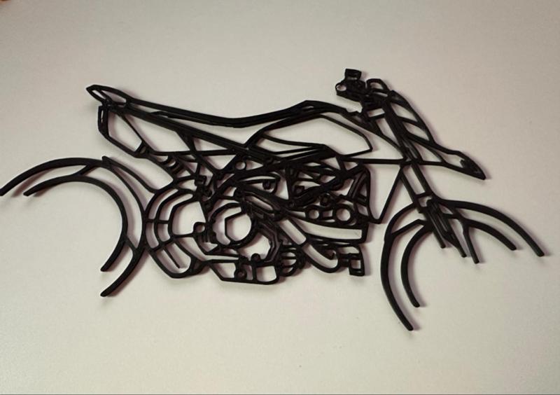 Ducati Hypermotard Silhouette