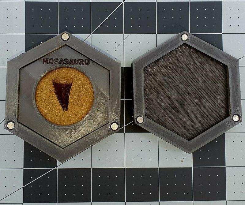 Fossil Gift Box_Jurassic Park