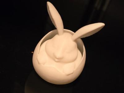 Rabbit in an egg 