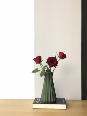 Modern Indoor Vase - Hera