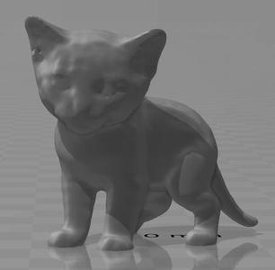 baby kitten model