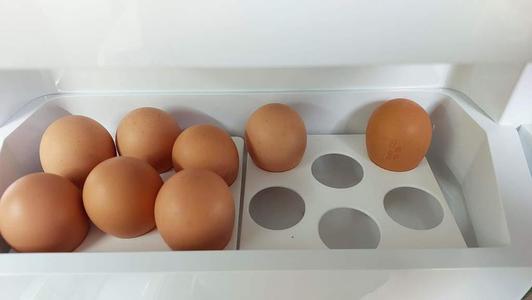 Egg tray for Fisher & Paykel fridge
