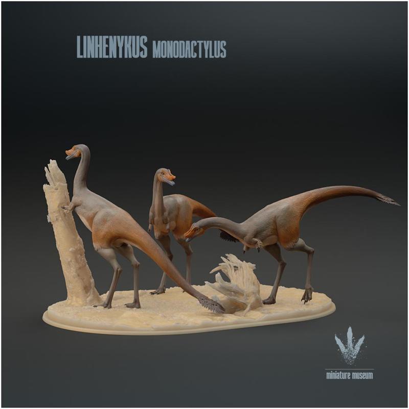 Linhenykus monodactylus : Foraging