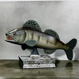 zander / pikeperch / Sander lucioperca fish in motion trophy statue detailed texture for 3d printing