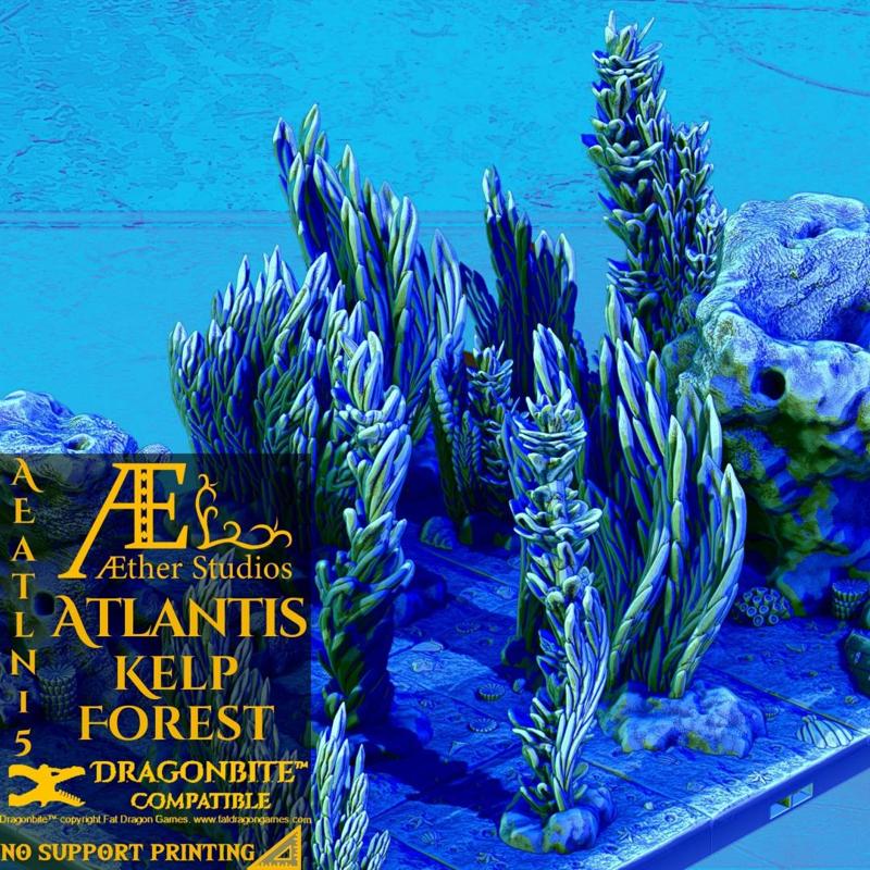 AEATLN15 – Kelp Forest