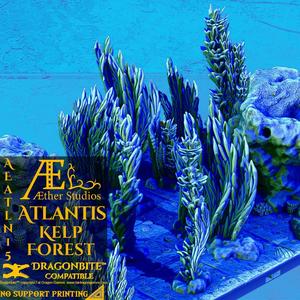 AEATLN15 – Kelp Forest