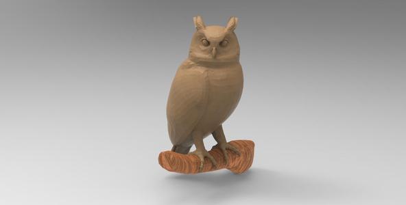 Owl