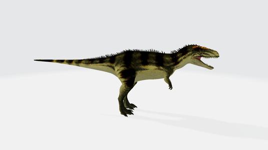 Mapusaurus