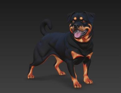A sturdy Rottweiler stands proudly, showcasing its robust physique