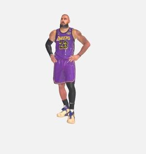 LeBron James - Figure