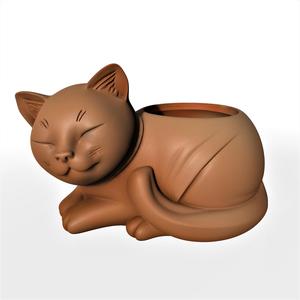 cat palnter