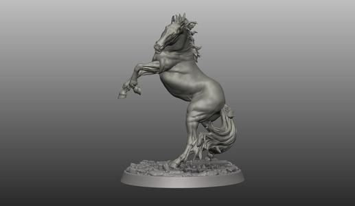 Horse pose 011