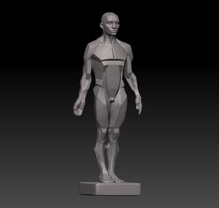 3D Anatomical Mannequin Style Figure