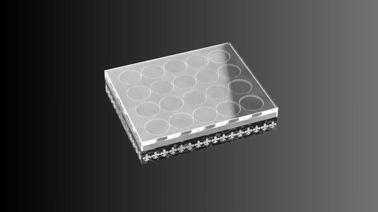 Medieval Box for Checkers - International "Dame" Variation (40 Pieces)